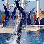 Granada Luxury 800м от пляжа клеопатра 아파트호텔 *